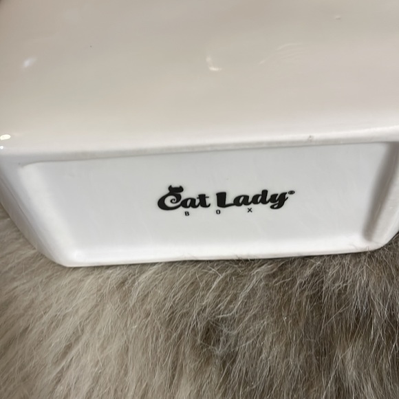Cat Lady Box White Ceramic Flat Cat Vase - Picture 4 of 9